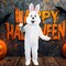 Adult Deluxe Bunny Costume with White Jumpsuit Fluffy Tail and Mascot Head